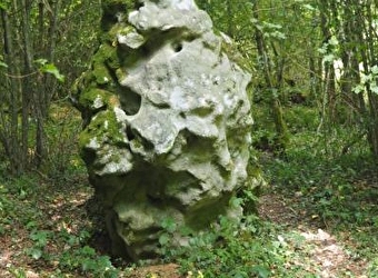 Découverte de la pierre à colon - 