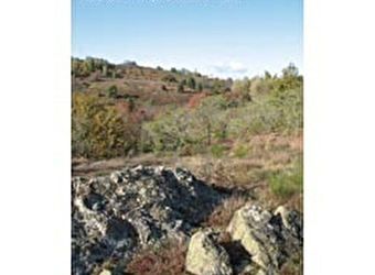 La lande de la Chaume - LE CREUSOT