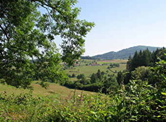 Circuit des Collines - GIBLES