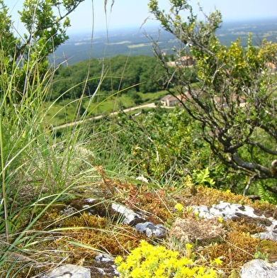 Randonnée - Les Conches, la sainte colline du Revermont