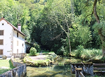 Balade sur le circuit  du moulin de la Doue version courte - 