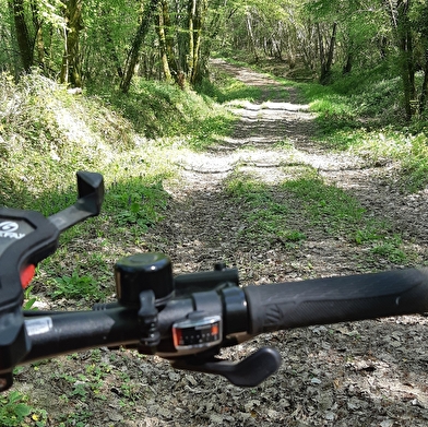 Liaison Gravel (L) entre Revermont et Bresse