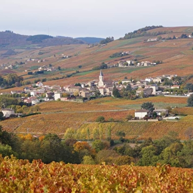 Circuit du Mont Bessay