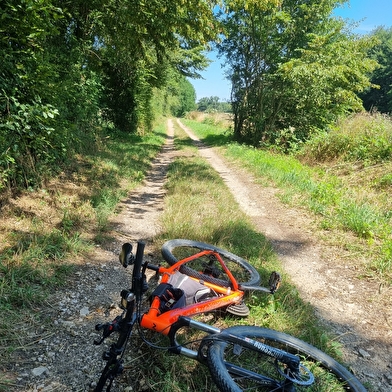 Circuit VTTAE n°8 (rouge) - Sur les crêtes de la Vallée du Sevron