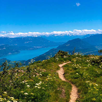 Parcours trail : Chanduraz depuis Chavornay