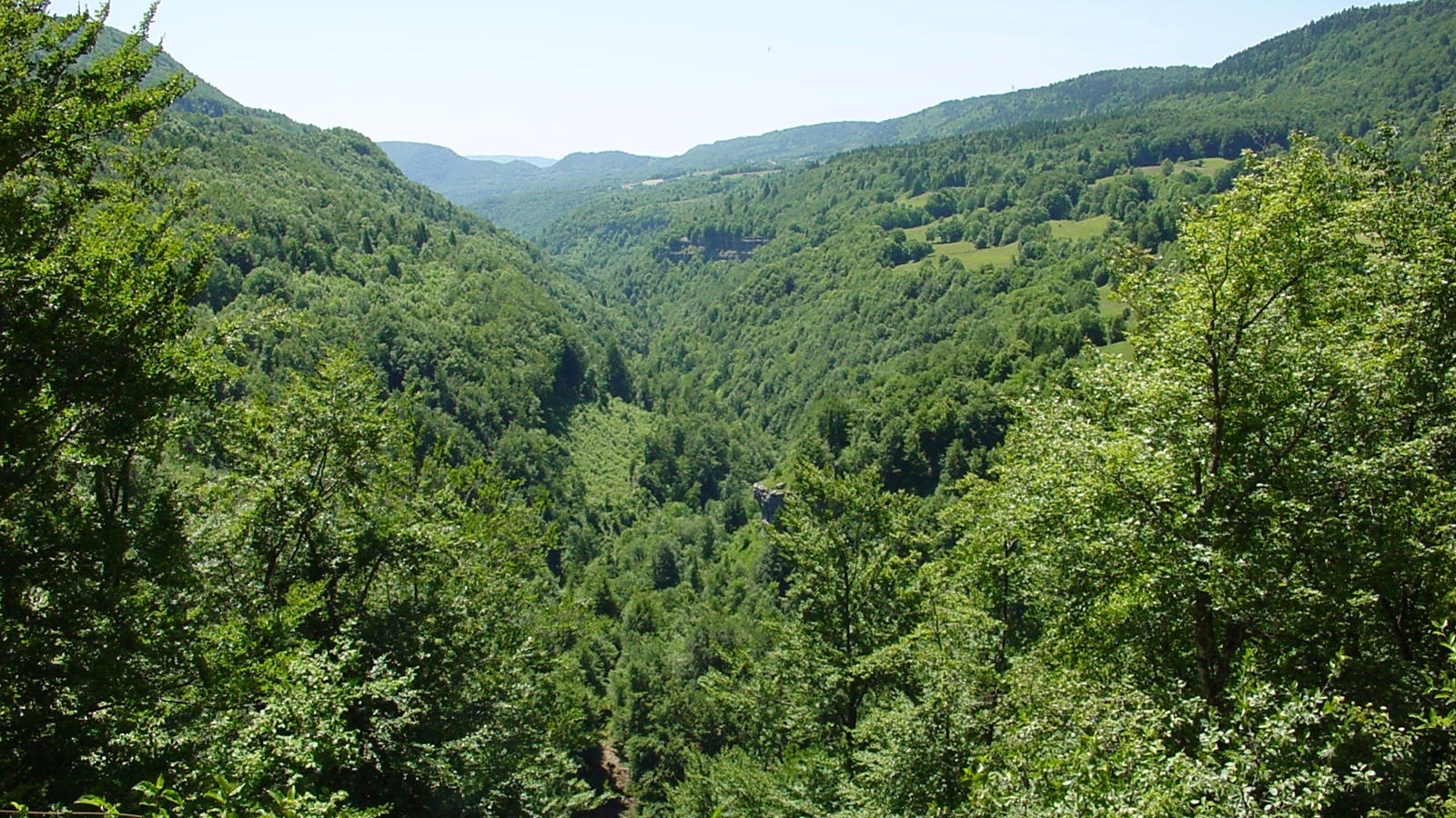 Les Myrtilles