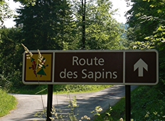 La Route des Sapins - EQUEVILLON