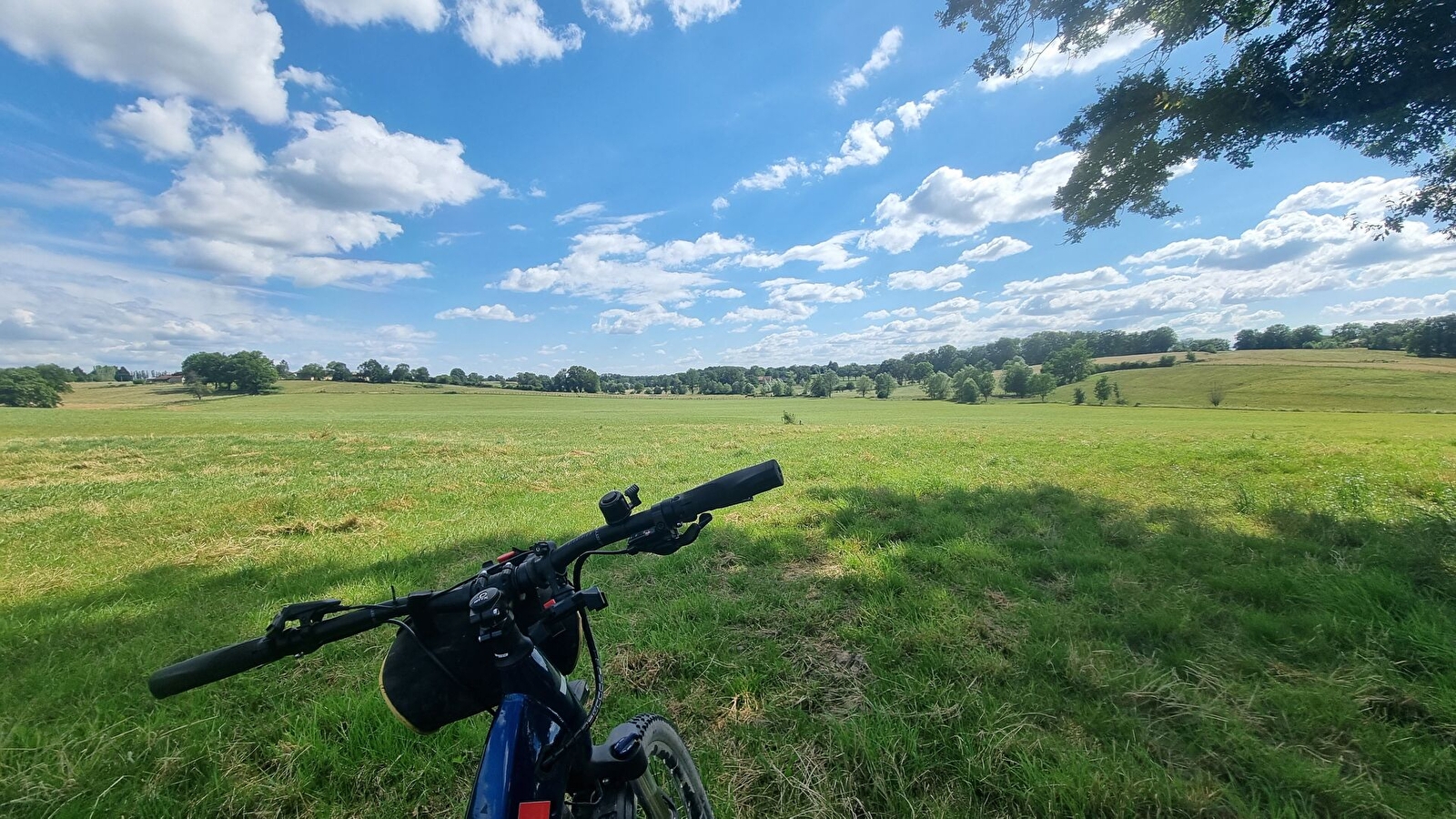Circuit VTT n°10 - Lé prô, lé beû de Foissiat-Etrez (prés et bois)