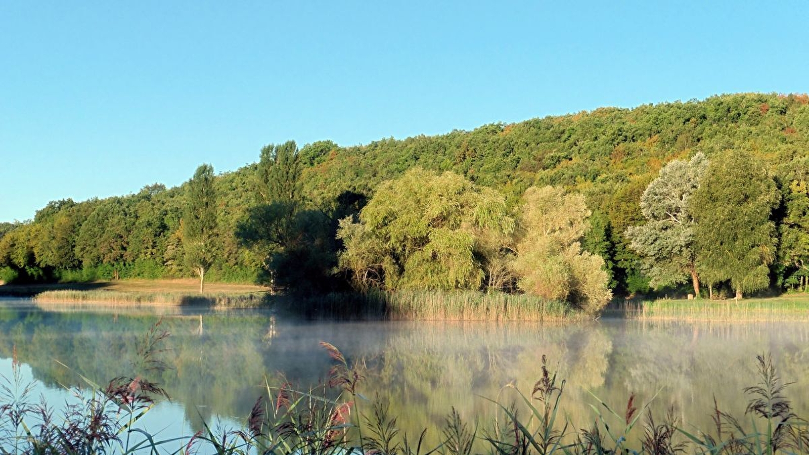Le sentier du Marais d'Andryes