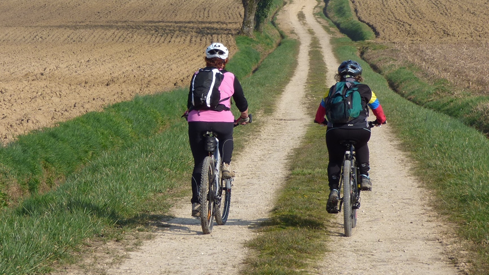 Circuit VTT-VTC n°3 (bleu) - L'arboretum d'Etrez