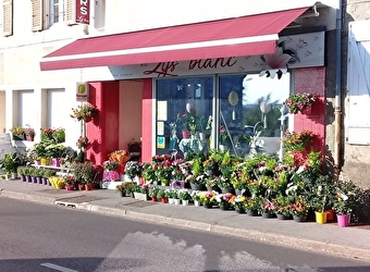 Un bouquet à offrir? -