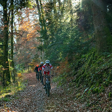 Parcours VTTAE 51 vert - Marais de Vaux les Teillères - Espace FFC Ain Forestière