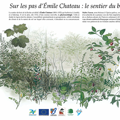 Le Bois de la Roche
