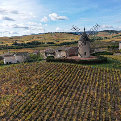 La VélOeno71 : dans les sillages du joyeux Gamay