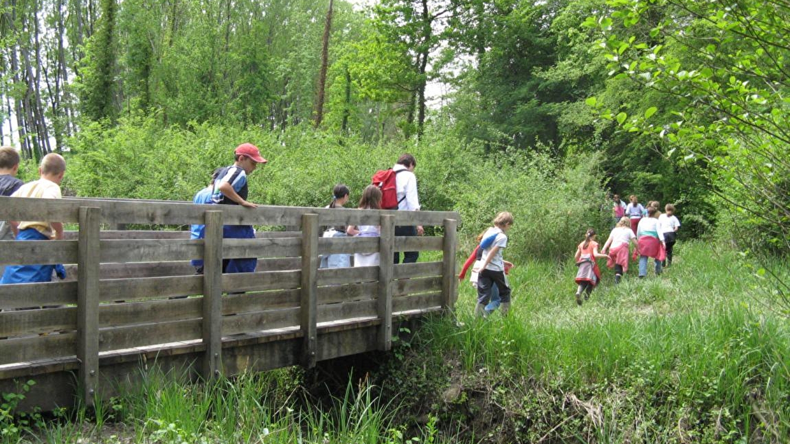 Sentier des lônes et îles du Haut-Rhône