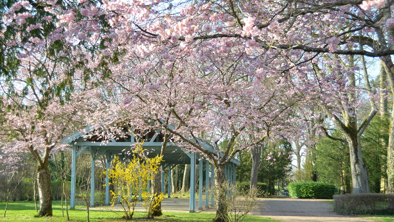 Le parc, appareil à la main