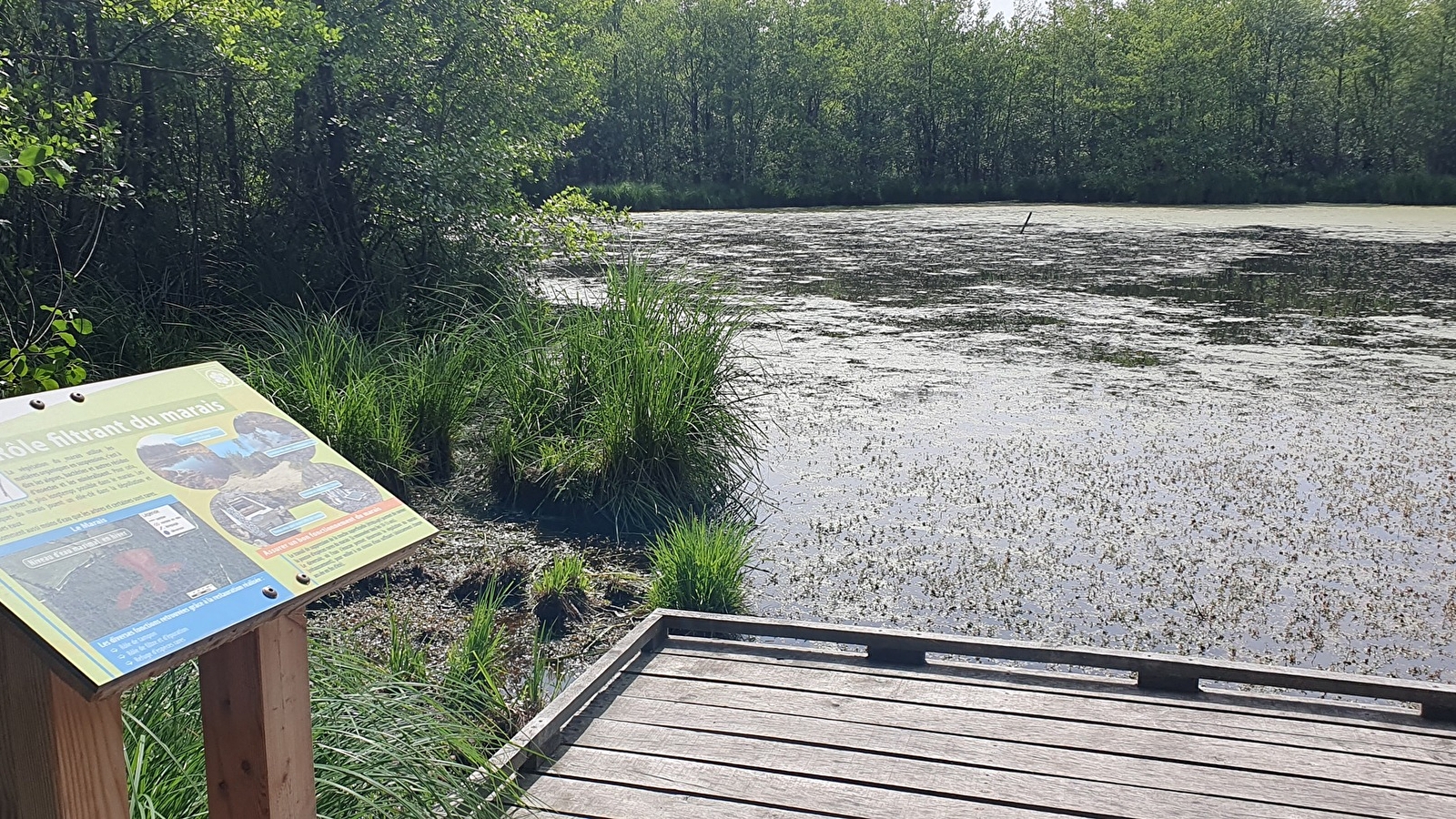Bresse Vallons - Etangs de Bizadan et de But - Voie royale