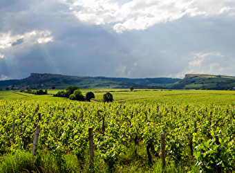 Autour de Solutré - CHARNAY-LES-MACON