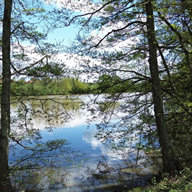 Sentier des étangs