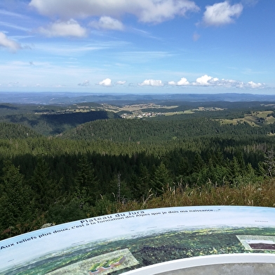 Les trésors cachés de la GTJ - Sur la route du Crêt de Chalam