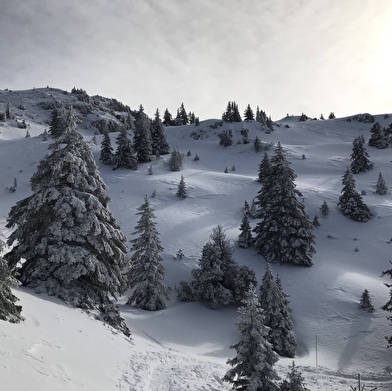 Sentier raquettes : de la Catheline au Crêt de la Neige