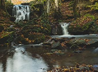 L'eau et la forêt - SAINT-SERNIN-DU-BOIS
