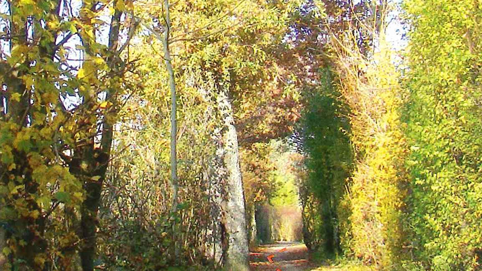 Sentier piétonnier Pierre Poivre