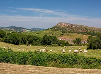 Des vignobles au Val Lamartinien - De Mâcon à Bourgvilain - MACON