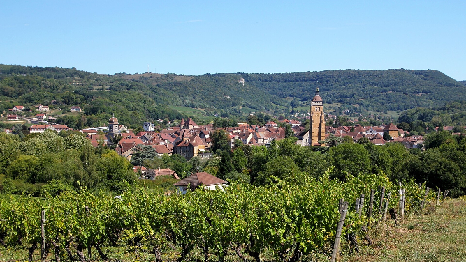 Les nez Jurassiens