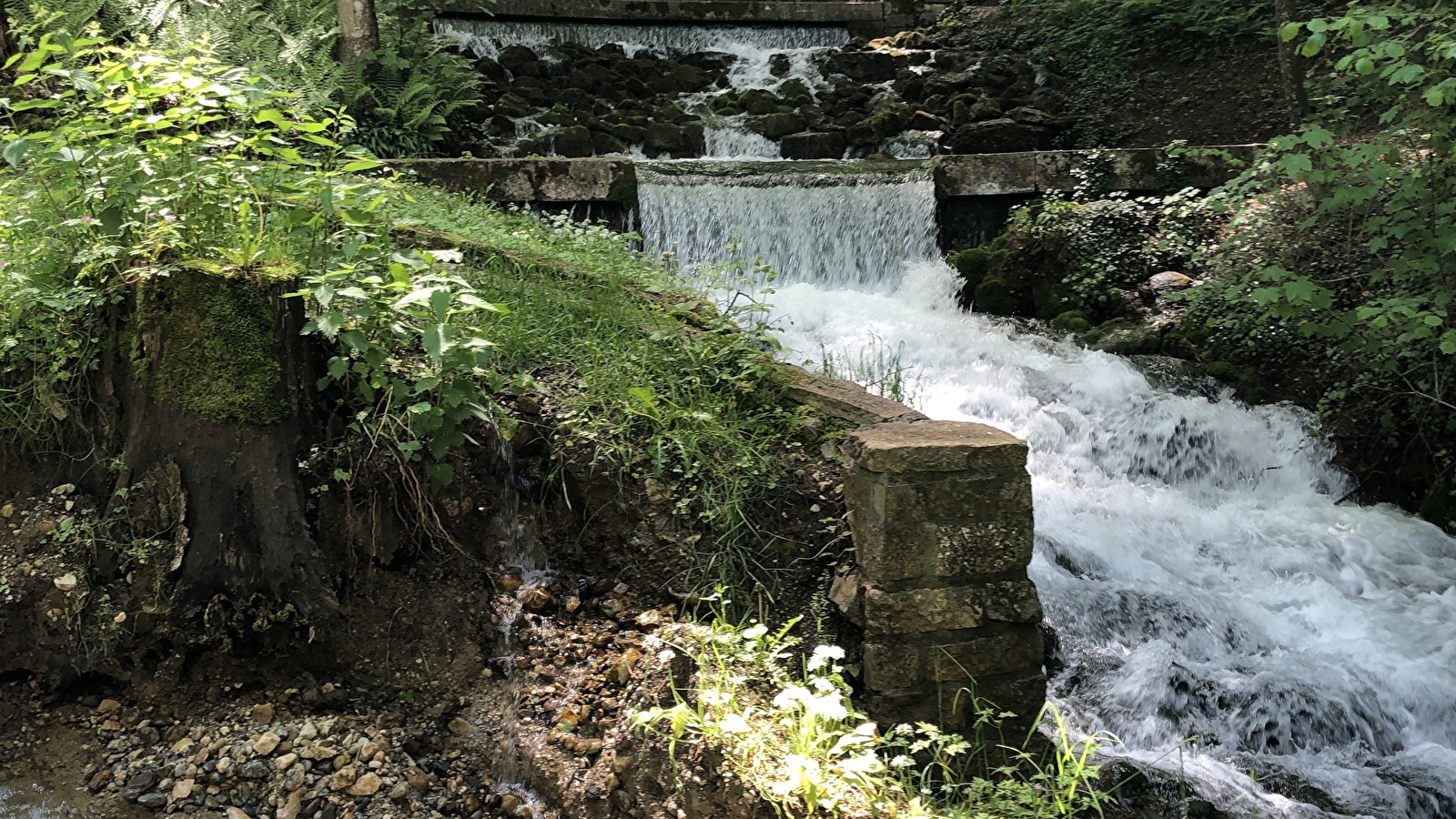 Randonnée : Mont-Mussy par la grande source