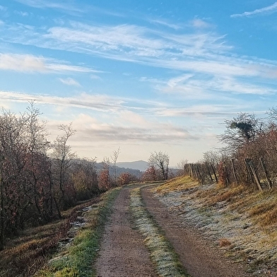 Randonnée - Coligny et le plateau de Vergongeat