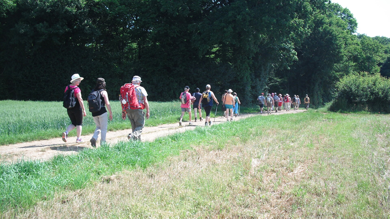 Les Bois de Brussey