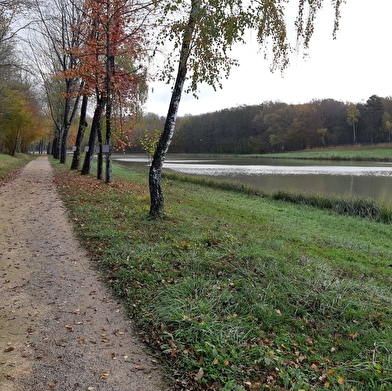Etang de Fougemagne