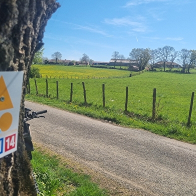 Circuit Gravel n°11 (bleu) - Prairie de Jayat - Chartreuse de Montmerle